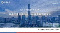 化工行业2020年中期策略：掘金优质成长个股，把握周期白马龙头.pdf