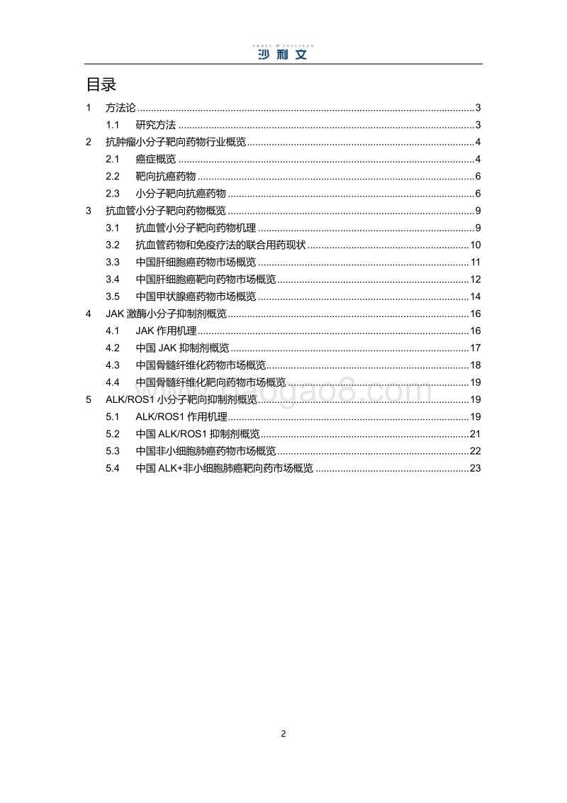 中国小分子靶向药物市场研究报告（上）.pdf_第2页