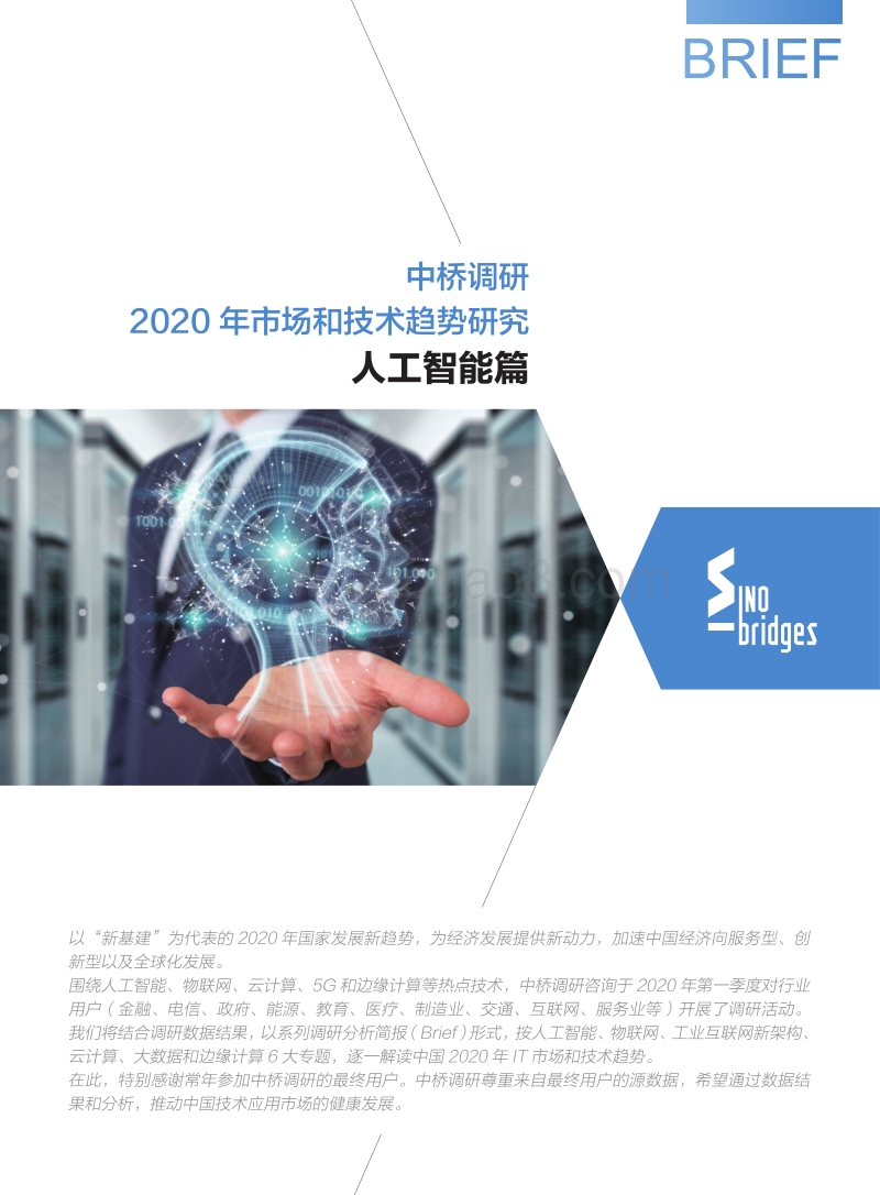 2020年市场和技术趋势研究：人工智能篇.pdf_第1页