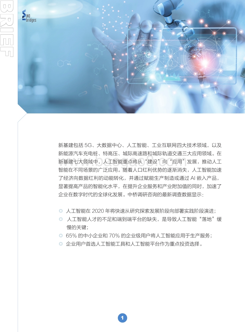 2020年市场和技术趋势研究：人工智能篇.pdf_第2页
