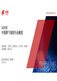 2020年中国屏下指纹行业概览.pdf