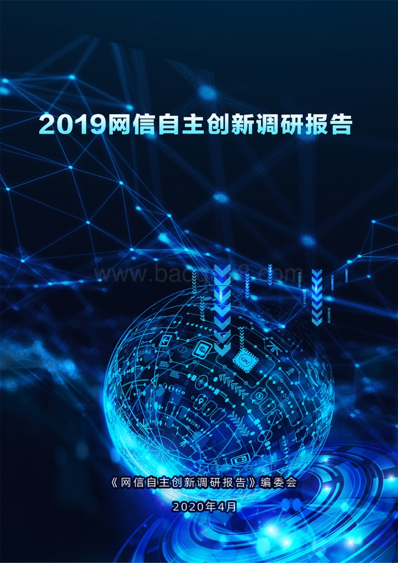 2019网信自主创新调研报告.pdf