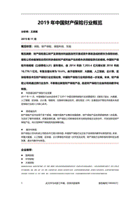 2019年中国财产保险行业概览.pdf
