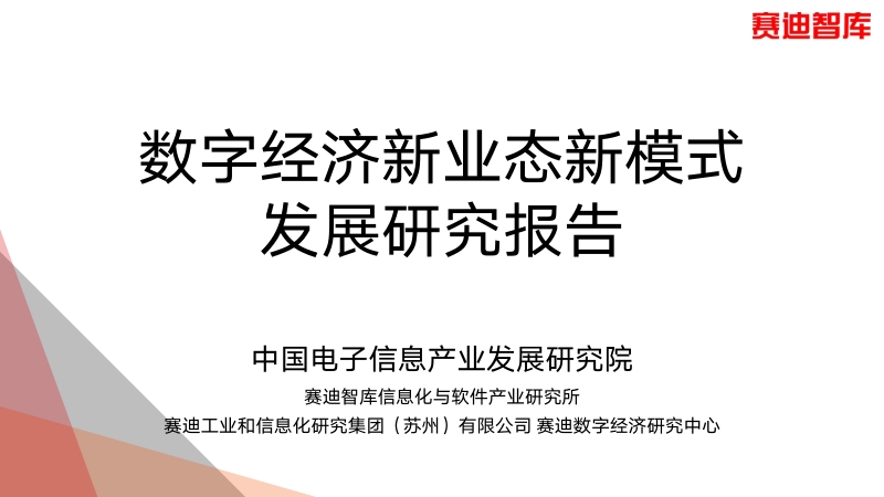数字经济新业态新模式发展研究报告.pdf_第1页