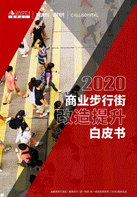 2020商业步行街改造提升白皮书.pdf