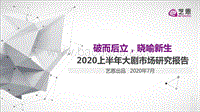 2020上半年大剧市场研究报告.pdf