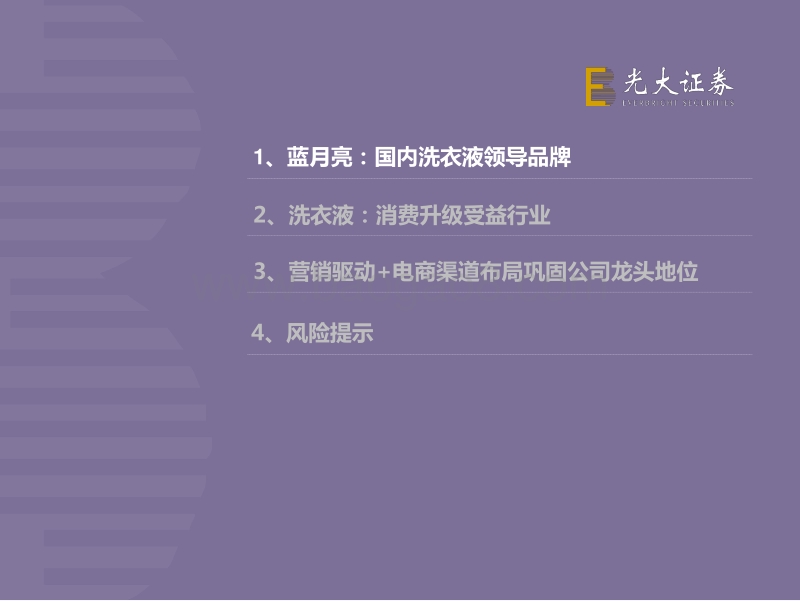 蓝月亮，洗衣液行业开创者.pdf_第3页