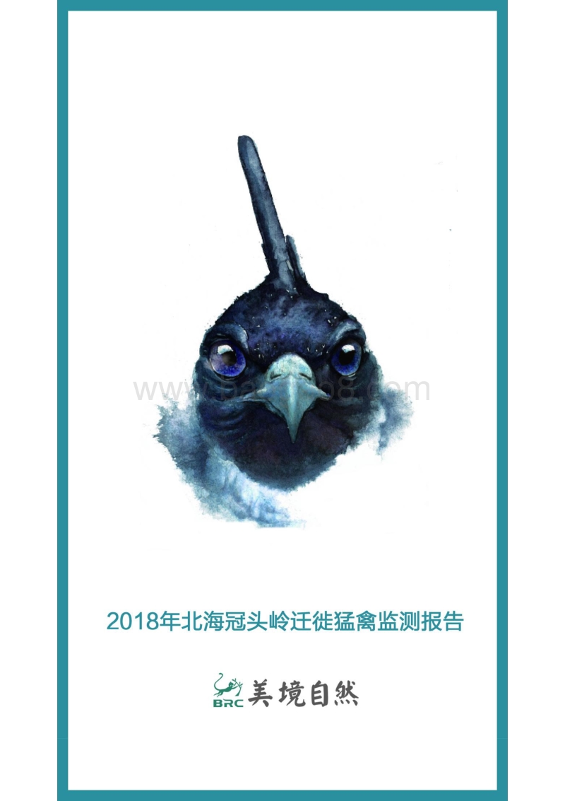 2018北海冠头岭迁徙猛禽监测报告.pdf_第1页