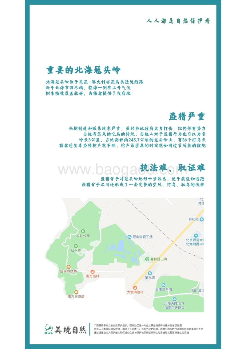 2018北海冠头岭迁徙猛禽监测报告.pdf_第2页