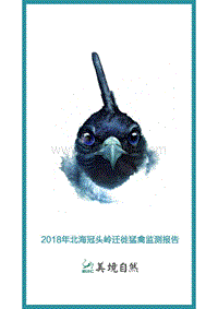 2018北海冠头岭迁徙猛禽监测报告.pdf