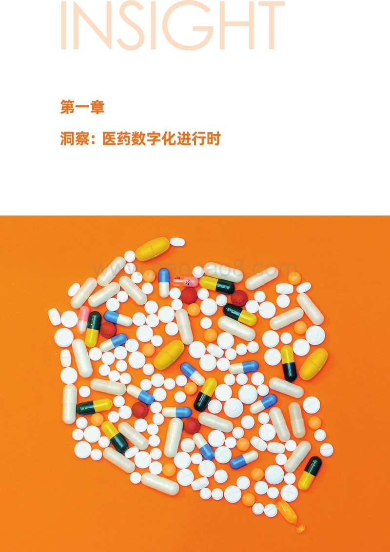 医药数字化转型框架.pdf_第5页