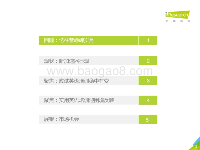 2020年中国成人英语市场研究报告.pdf_第3页