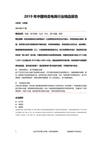 2019年中国特卖电商行业精品报告.pdf