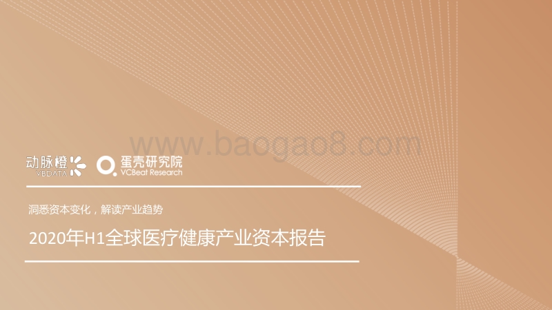 2020年H1全球医疗健康产业资本报告.pdf_第1页