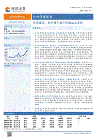 长风破浪，电子特气国产化崛起正当时.pdf