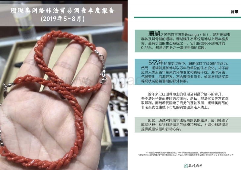 2019年5月-8月珊瑚类网络非法贸易调查季度报告.pdf_第1页