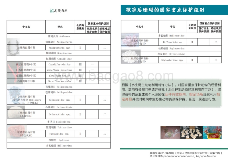 2019年5月-8月珊瑚类网络非法贸易调查季度报告.pdf_第2页