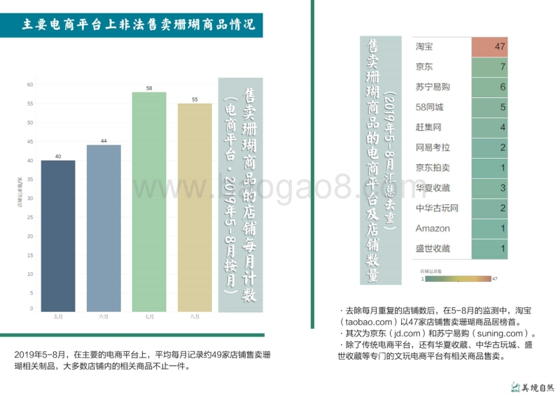 2019年5月-8月珊瑚类网络非法贸易调查季度报告.pdf_第3页