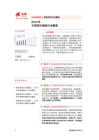 2019年中国责任保险行业概览.pdf