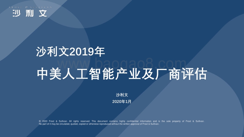 2019年中美人工智能产业及厂商评估.pdf_第1页