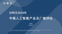 2019年中美人工智能产业及厂商评估.pdf