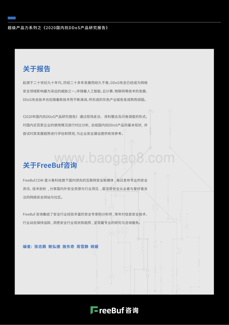2020国内抗DDoS产品研究报告.pdf_第2页