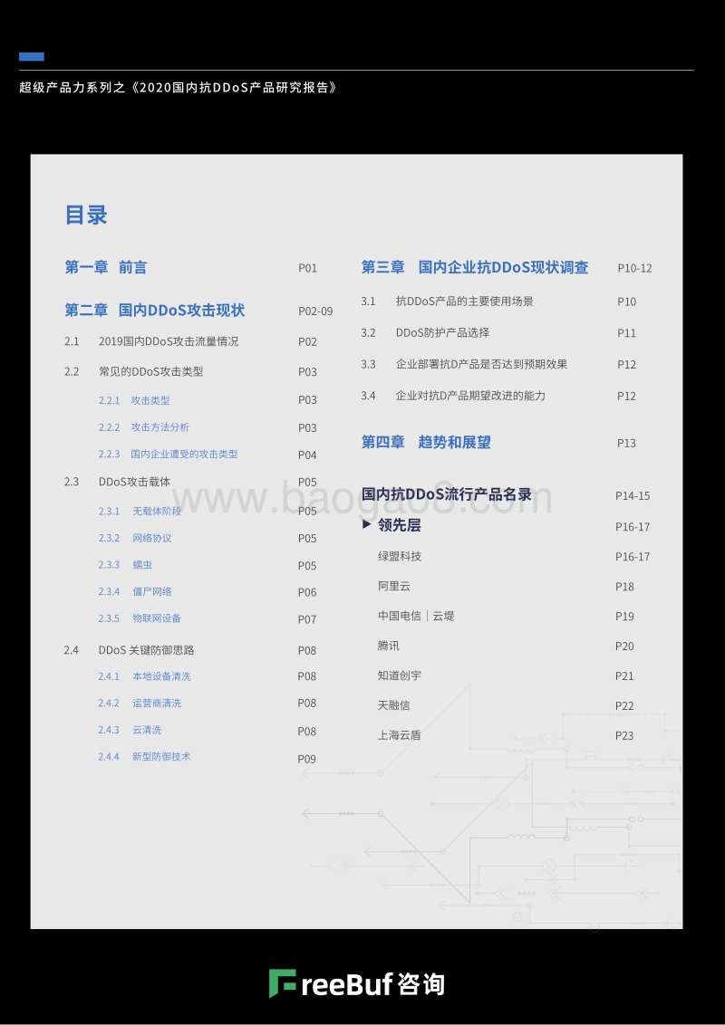 2020国内抗DDoS产品研究报告.pdf_第3页