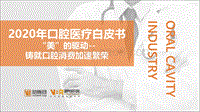 2020年口腔医疗白皮书.pdf