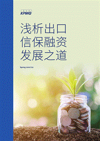 浅析出口信保融资发展之道.pdf