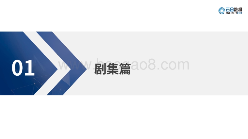 2020Q1剧、综网播表现及用户分析报告.pdf_第3页