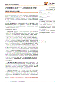湖北城投怎么看？.pdf
