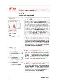2019年中国夜间经济行业概览.pdf