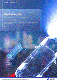 中国汽车行业专题研究：新能源汽车急速狂飙.pdf
