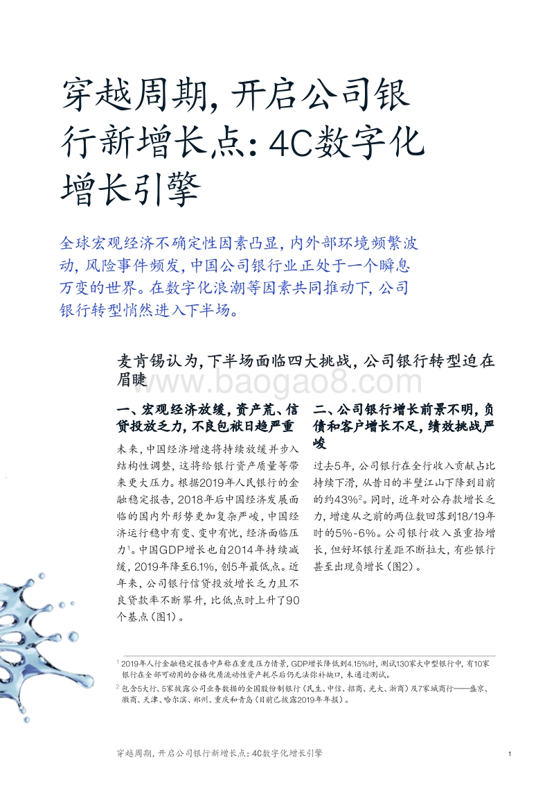 4C数字化增长引擎：穿越周期，开启公司银行新增长点.pdf_第3页