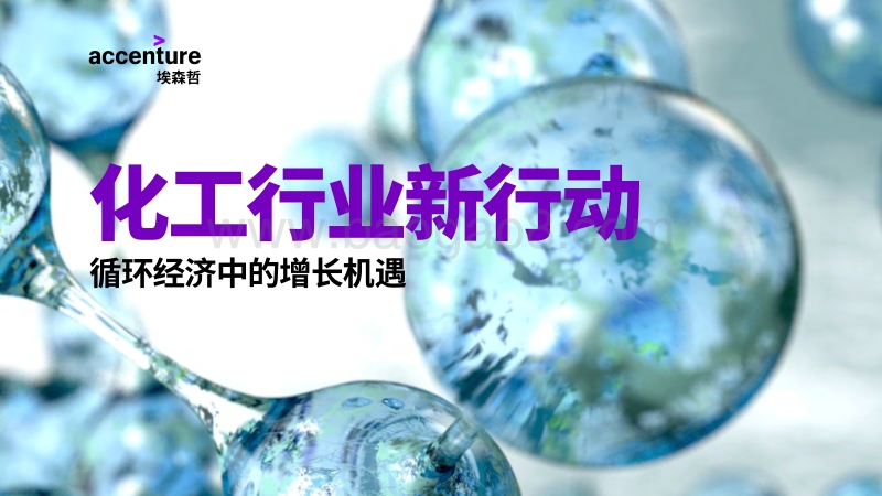 化工行业新行动：循环经济中的增长机遇.pdf_第1页