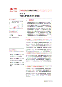 2019年中国儿童智能手表行业概览.pdf