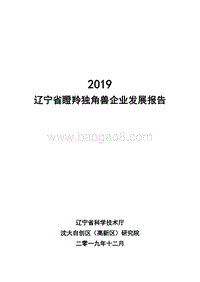 2019辽宁省瞪羚独角兽企业发展报告.pdf