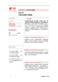 2019年中国合成氨行业概览.pdf
