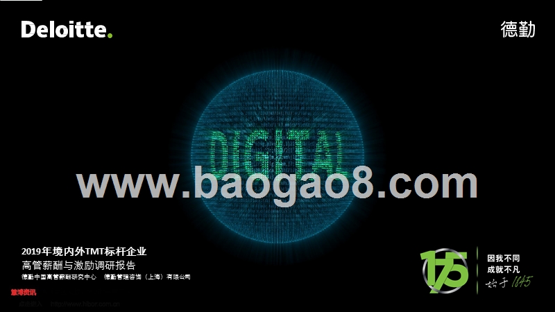 2019年境内外TMT标杆企业高管薪酬与激励调研报告.pptx_第1页