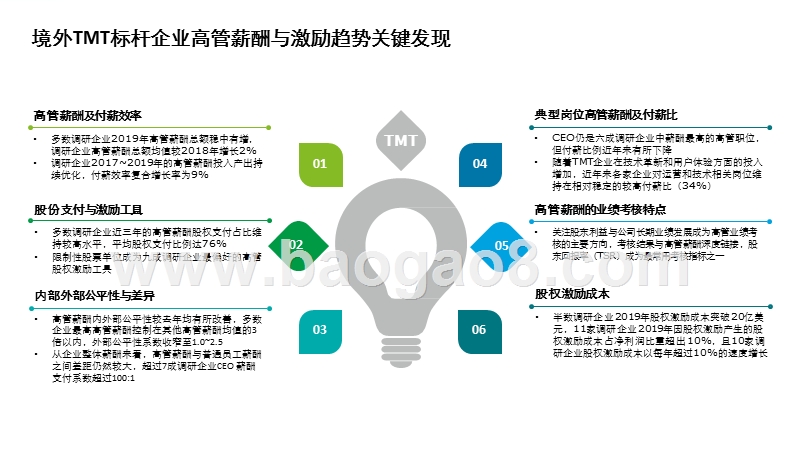 2019年境内外TMT标杆企业高管薪酬与激励调研报告.pptx_第4页