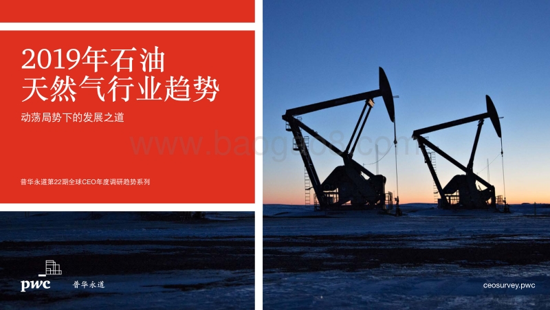 2019年石油天然气行业趋势.pdf_第1页