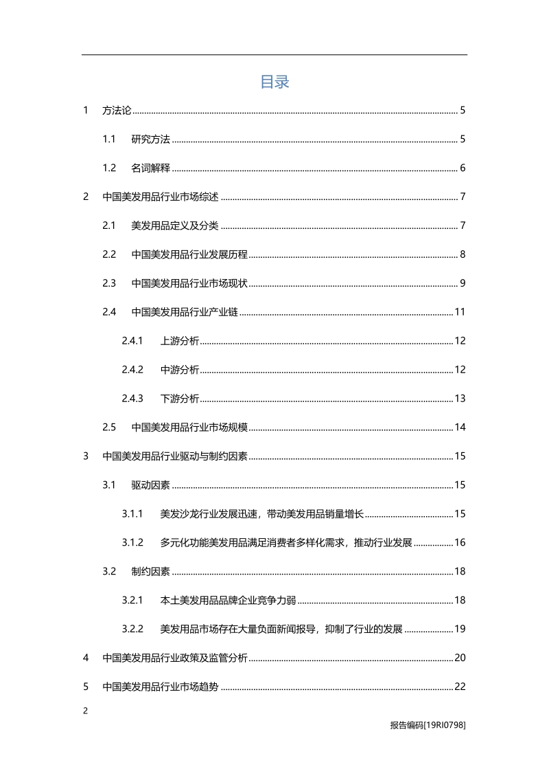 2019年中国美发用品行业概览.pdf_第2页