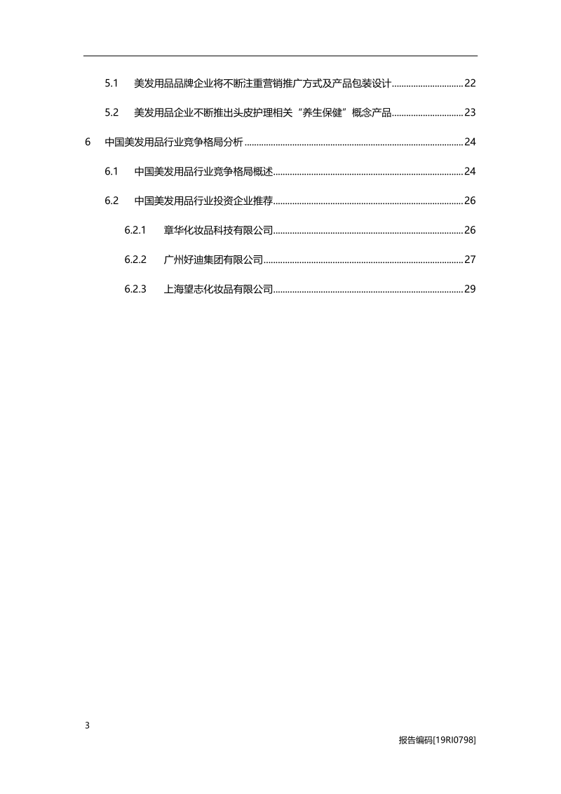 2019年中国美发用品行业概览.pdf_第3页