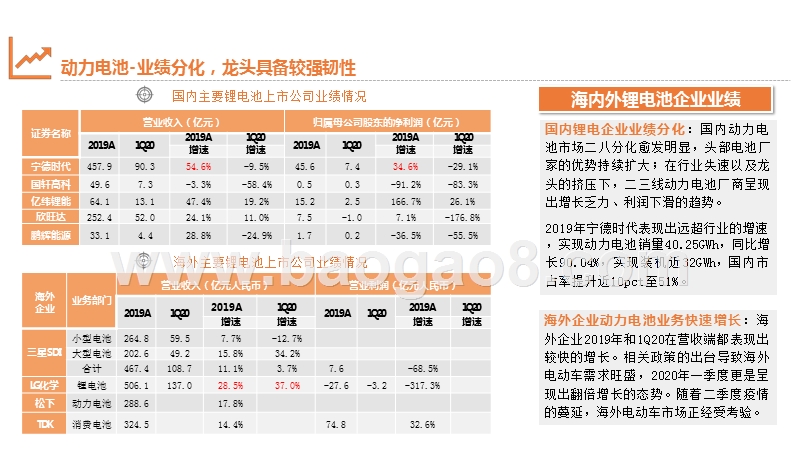 从汽车业财报看行业趋势与投资机会：电动车篇.pptx_第5页