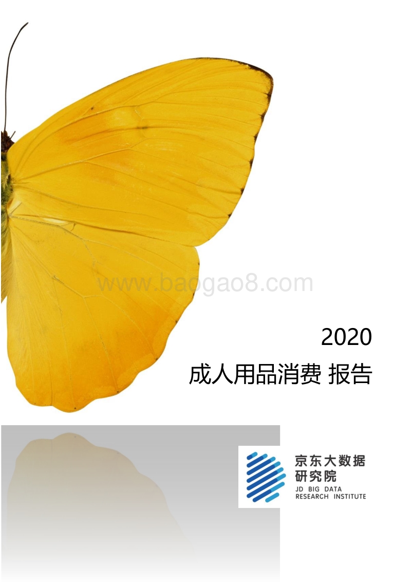 2020成人用品消费报告.pdf_第1页