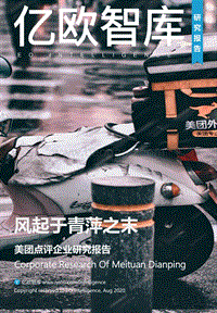 美团点评企业研究报告.pdf
