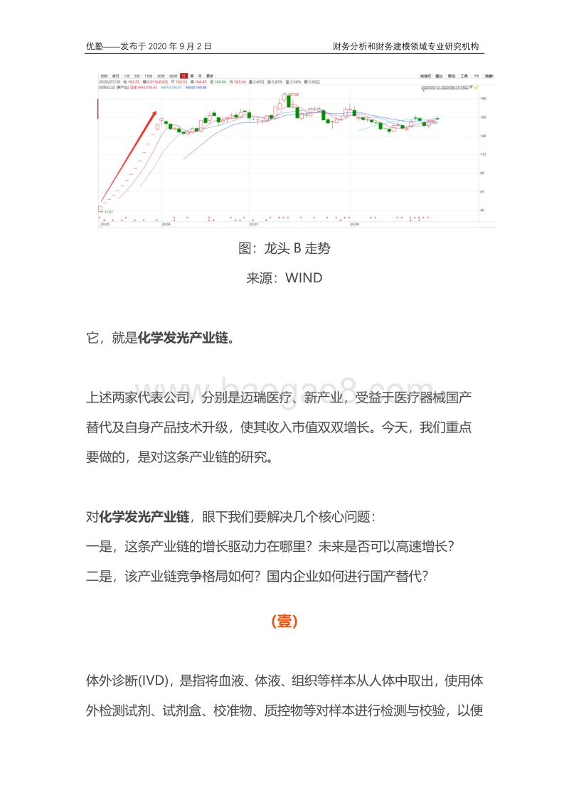 化学发光产业链全梳理，未来高速增长驱动在哪里.pdf_第2页