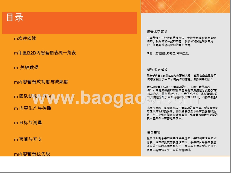 2020年内容营销白皮书.pptx_第2页