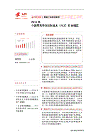 2019年中国等离子体控制技术（PCT）行业概览.pdf