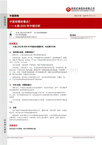 A股2020年中报分析：中报有哪些看点？.pdf